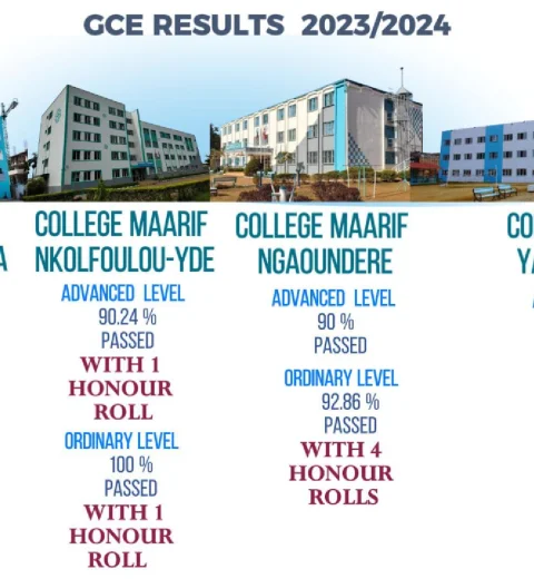 Ordinary and Advanced Level results for the 2023/2024 academic year.